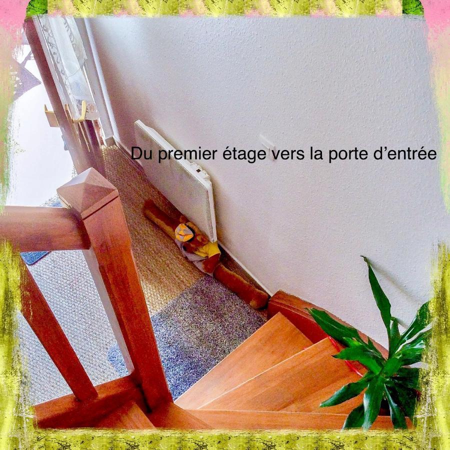 Residence Des Lentilles 쉴티그하임 외부 사진